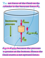 <p>Archimedes's Principle: Any object completely or partially submerged in a fluid is buoyed upward by a force whose magnitude is equal to the weight of the fluid displaced by the object.</p><p>F(B) is the magnitude of the buoyant force acting on the submerged object, exerted by the entire surrounding fluid.</p><p> - The net force of the fluid on the submerged object is the buoyant force F(B).</p><p>F(up) > F(down) because the pressure is greater at the bottom of the object. Hence, the fluid exerts a net upward force.</p>
