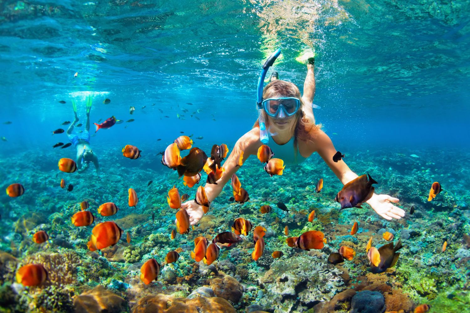 <p>scuba-diving but lighter version</p>