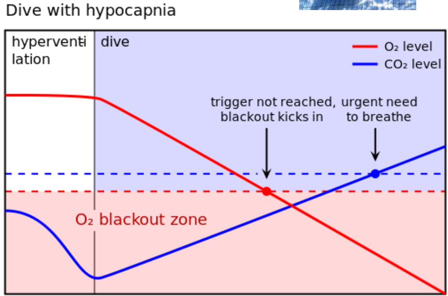 <p>In a hyperventilated dive, what happens to CO₂ levels?</p>