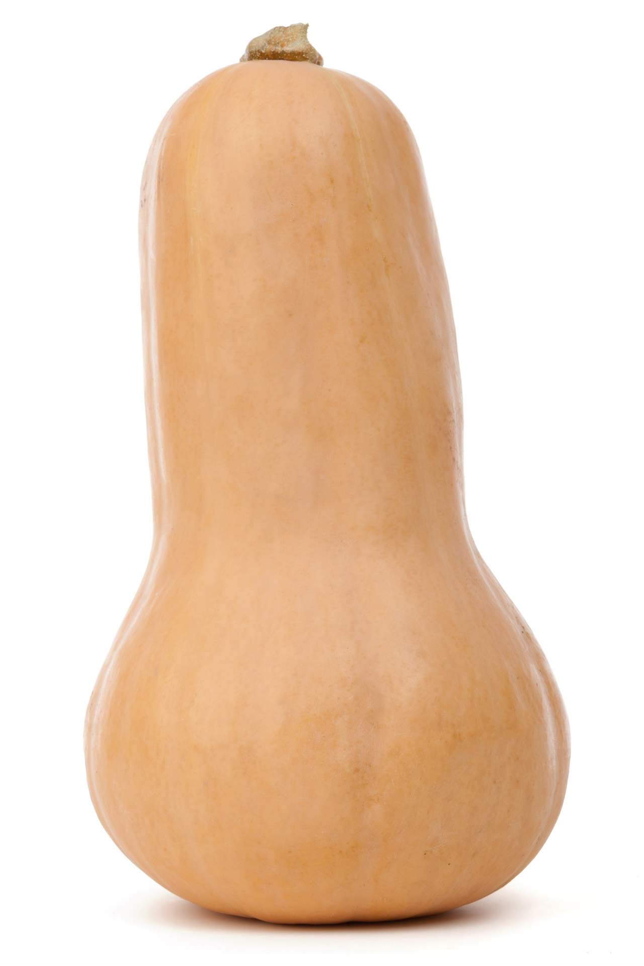 <p>Butternut Squash</p>
