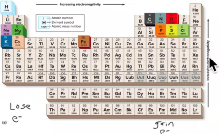 <ul><li><p>loose /donate electrons (to form a completie valence shell)</p></li><li><p>form cations when they react</p></li></ul><p></p>