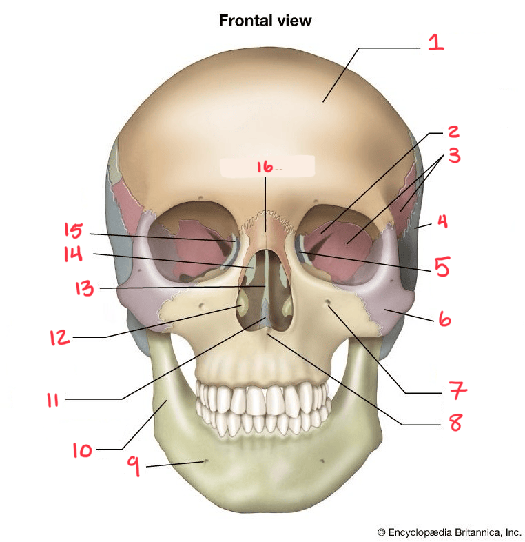 <p>4.</p>