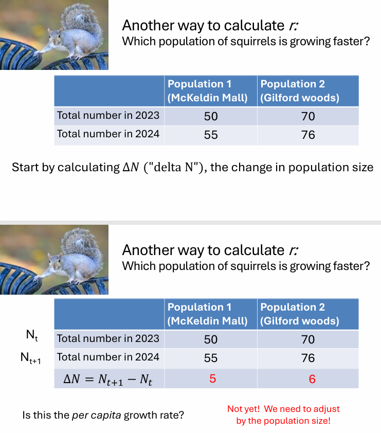 <p>r example </p>