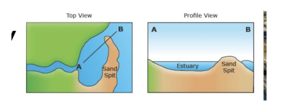 <p>estuary built from longshore currents that produce a sand spit</p>