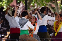 <p>To dance</p>