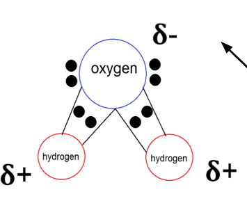 <p>polar covalent</p>