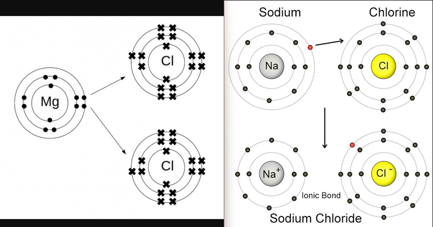 <p>Ionic bonds / Salt bridges </p>