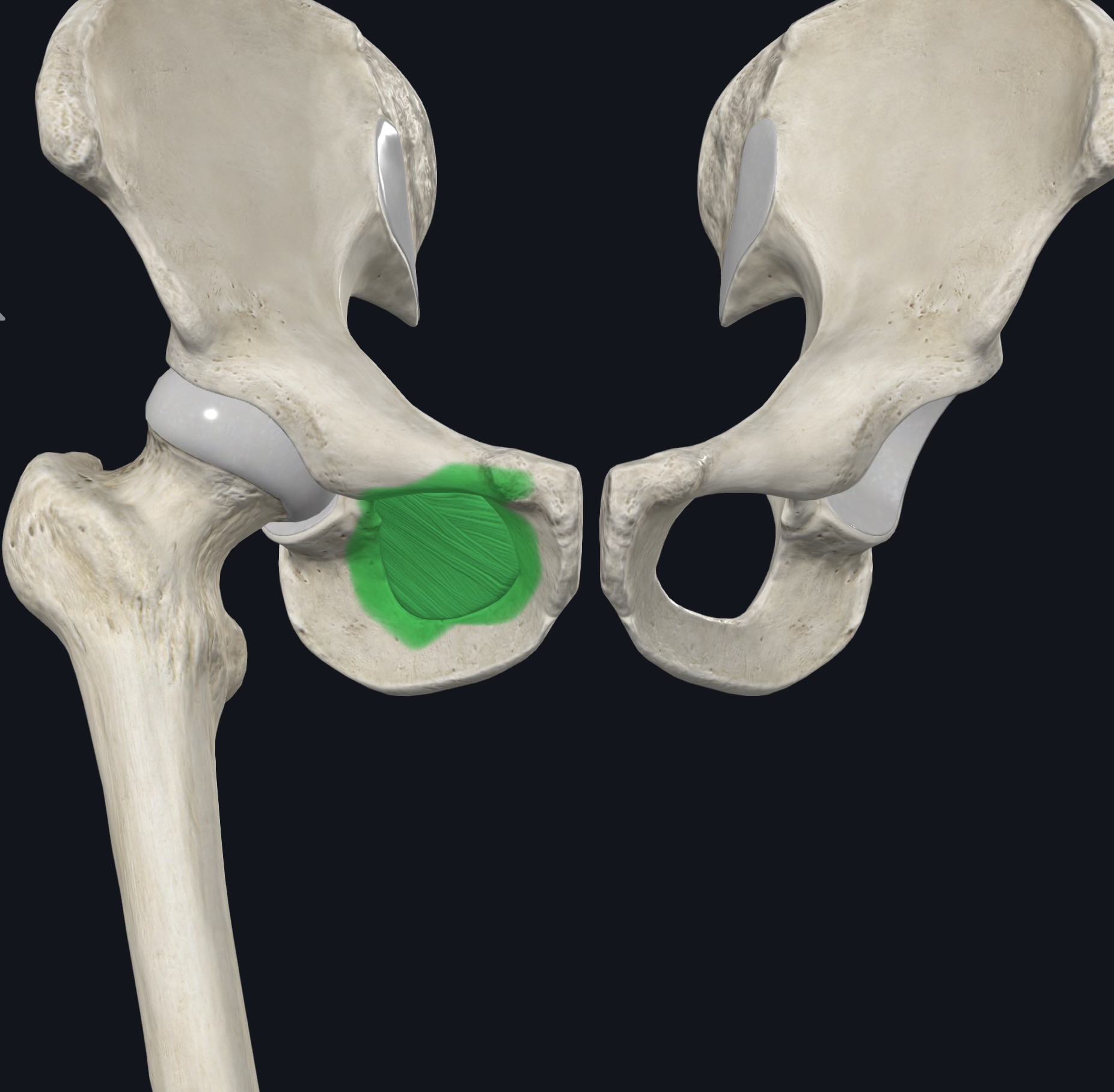 <p>¿Qué es esto? </p>