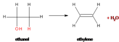 <p>Creates covalent bond between monomers and releases water</p>