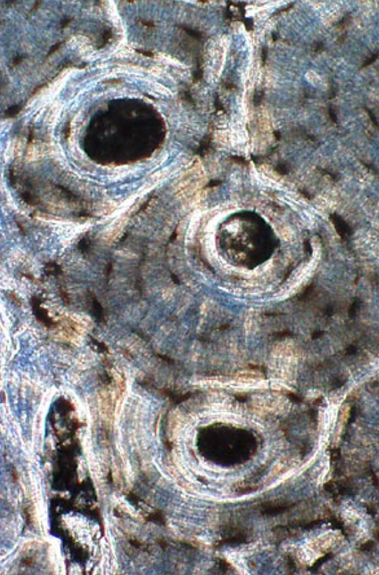 <p>what is this? </p>