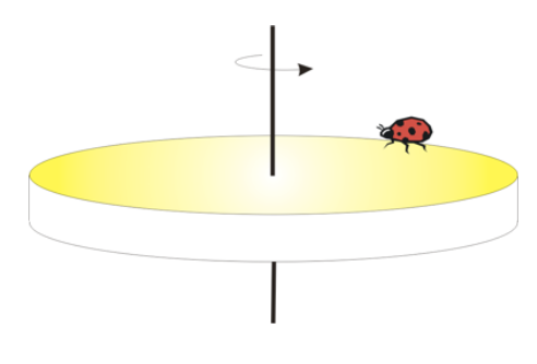 <p>FIND THE ANGULAR ACCELERATION</p>