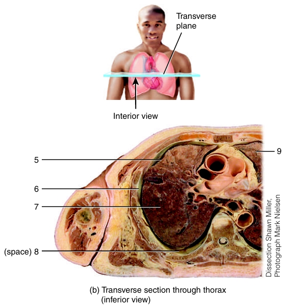 <ol start="9"><li><p></p></li></ol><p></p>