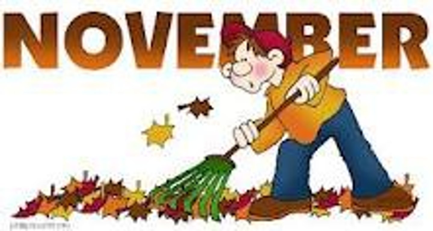 <p>noviembre</p>