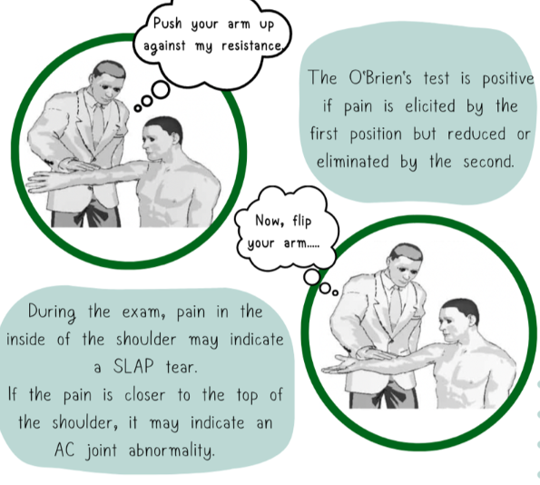 <p><strong>labrum injury</strong></p><p>have patent sitting or standing</p><p>bring their arm up pointing in front of them</p><p>then bring to midline 10 degrees</p><p>then thumb down</p><p>push down on wrists</p><p>then palm up as much as possible and push down again</p><p>positive if: the symptoms increased with thumb down and then decreased when palm up</p>