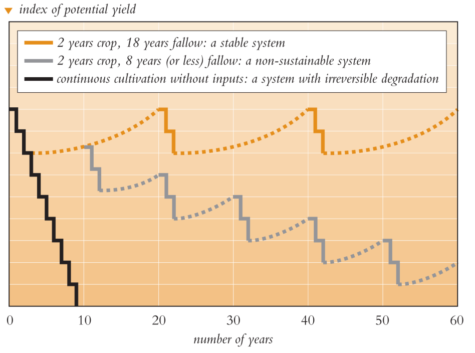 <p>System 3: Continuous Cultivation (Without Inputs)</p>