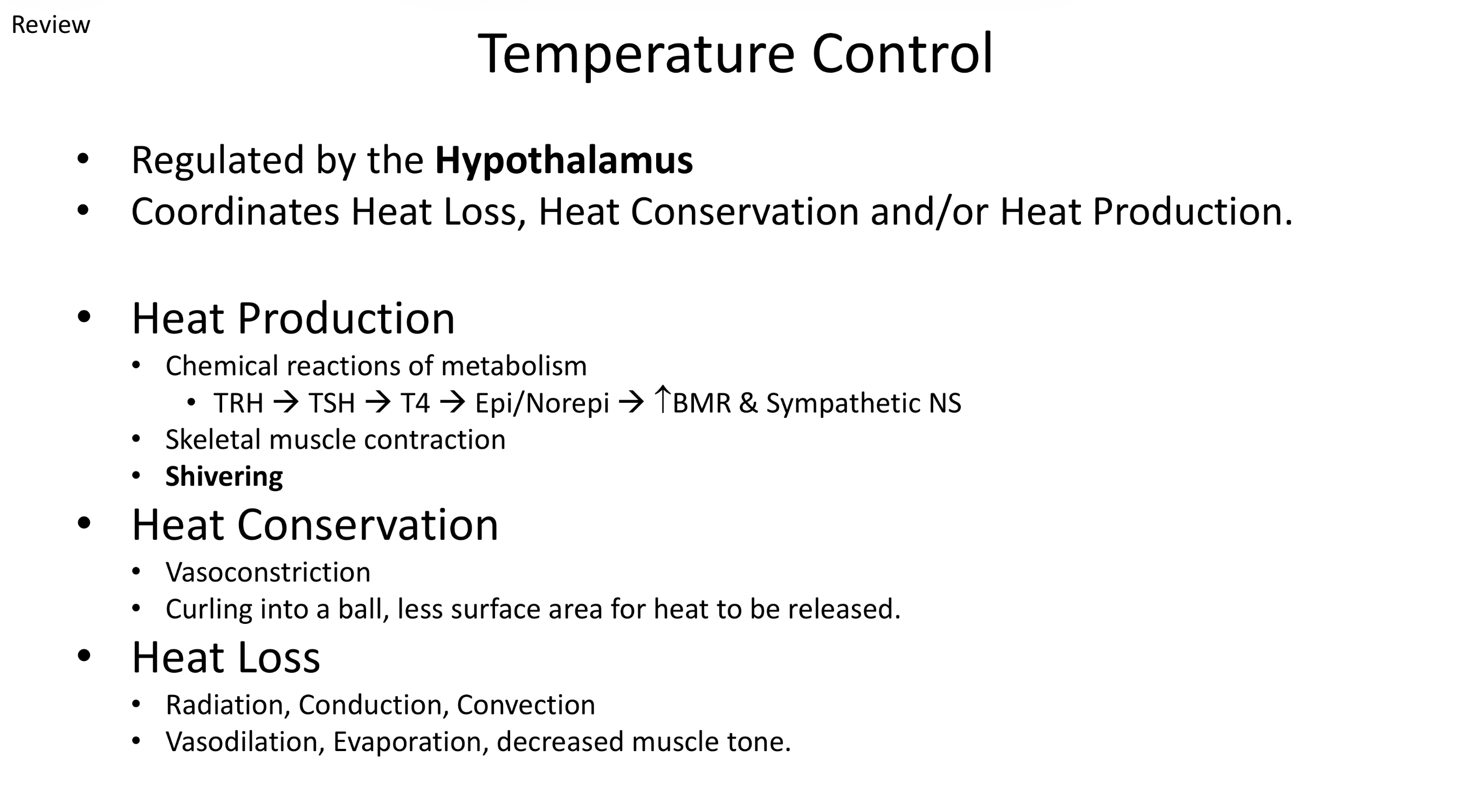 <p>Regulates heat production (shivering, BMR), heat conservation (vasoconstriction), and heat loss (vasodilation, sweating)</p>