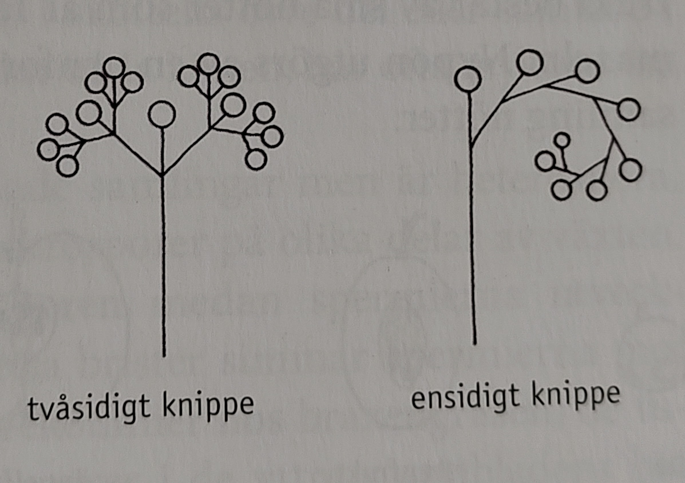 <p></p>