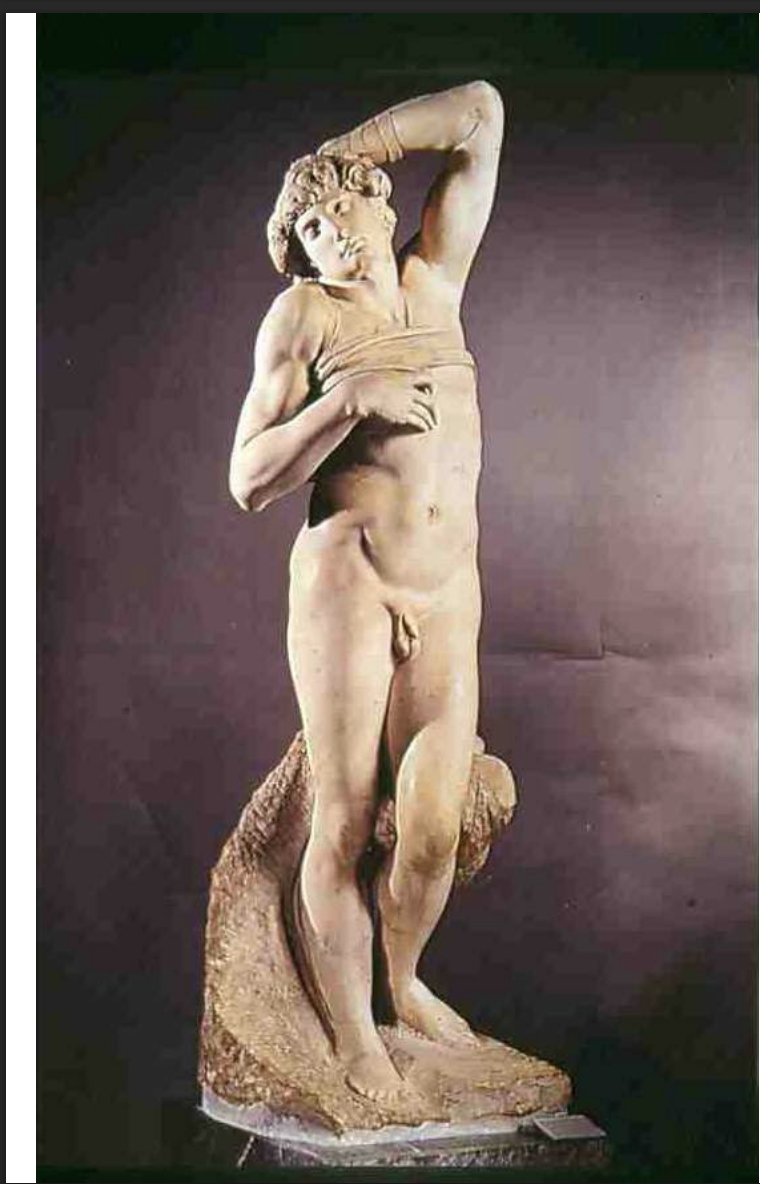 <p>Slave</p>