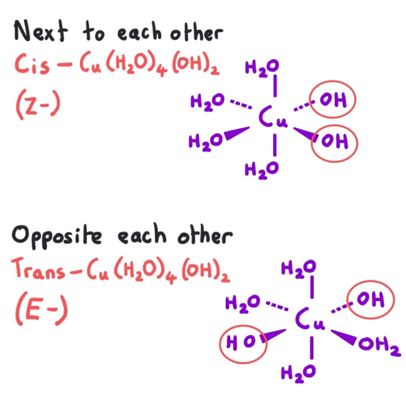 <p>solid copper hydroxide, [Cu(H<sub>2</sub>O)<sub>4</sub>(OH)<sub>2</sub>]</p>