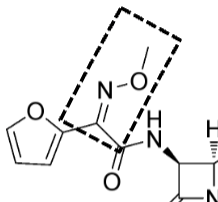 <ul><li><p>HBA</p></li><li><p>neutral</p></li><li><p>unstable in acid</p></li><li><p>stable</p></li><li><p>POTENTIAL FOR E AND Z ISOMERS</p></li></ul><p></p>