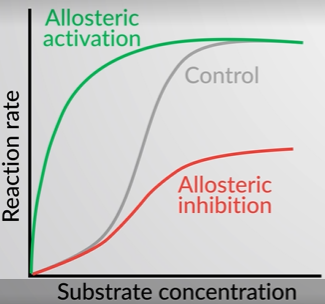 <ul><li><p>green = activator</p></li><li><p>gray = w/o effector molecule</p></li><li><p>red = inhibitor</p></li></ul><p></p>