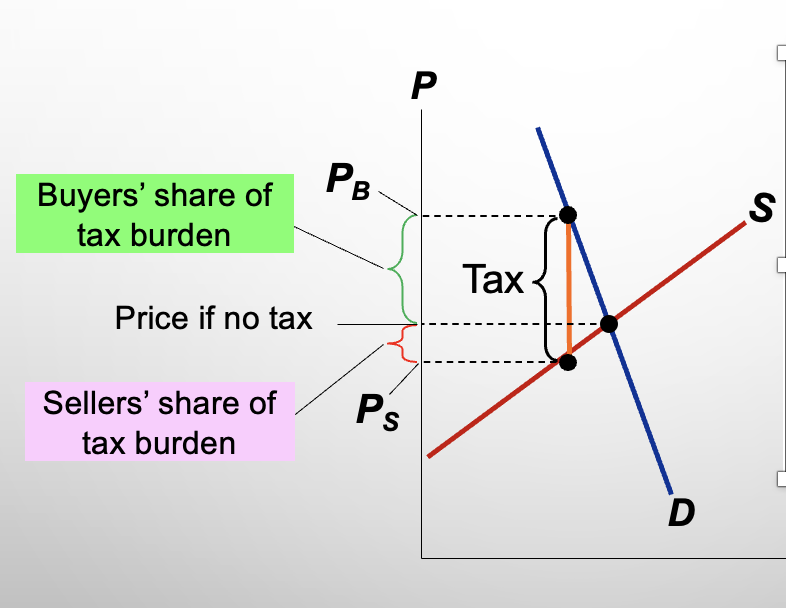 <p>What happens when supply is more elastic than demand?</p>
