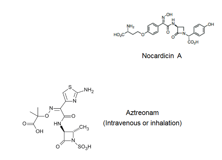 <p>β-lactam antibiotic - <span>Nocardicin A</span></p><ul><li><p><span>Aztreonam is a synthetic monobactam, resistant to β-lactamases and is the only clinically used monobactam</span></p><ul><li><p><span>Tolerated by patients who are hypersensitive to penicillins</span></p></li></ul></li></ul><p></p>