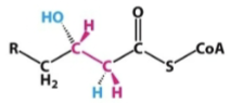 <p>what is the name of the intermediate</p>