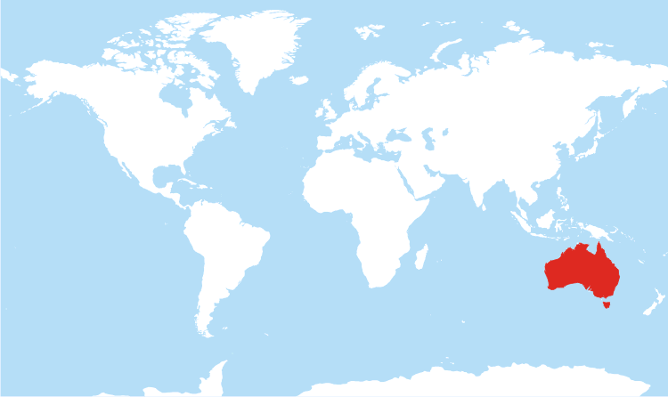 <p></p>