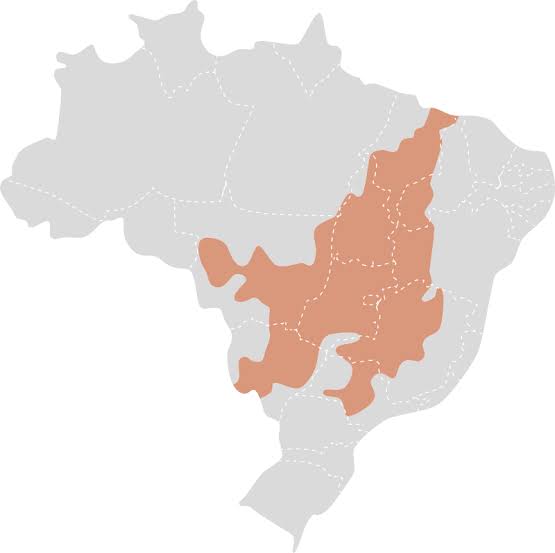 <p>Cerrado endêmicas (só estão presentes em um lugar ou região)</p>