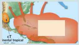 <p>What weather conditions are likely when an air mass from the Gulf of Mexico moves northeast across Georgia?</p>