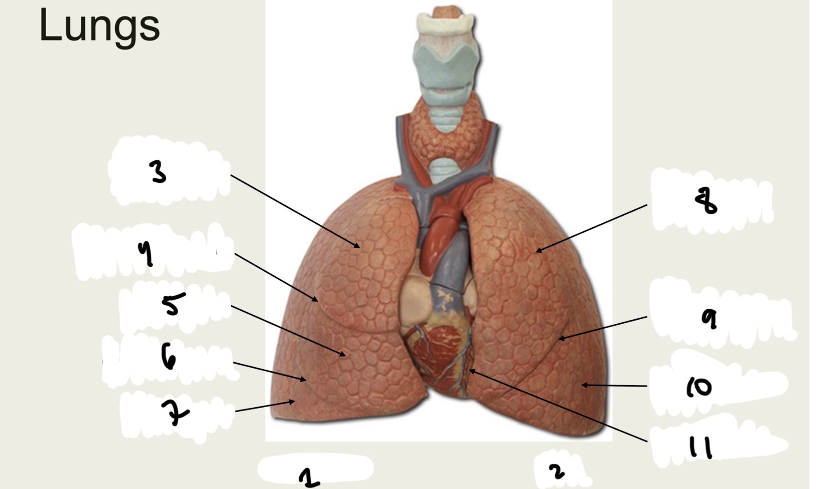 <p>1.XX</p><p>2.XX</p><p>3.XX</p><p>4.XX</p><p>5.XX</p><p>6.XX</p><p>7.XX</p><p>8.XX</p><p>9.XX</p><p>10.XX</p><p>11.XX</p>