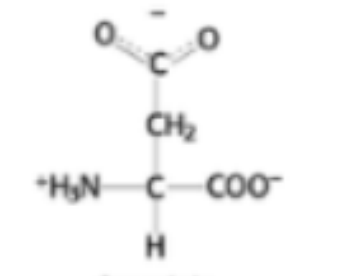 <p>What amino acid is this?</p>