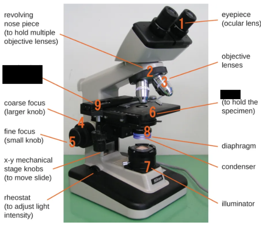 <p><span style="background-color: transparent;">Platform of the microscope</span></p>