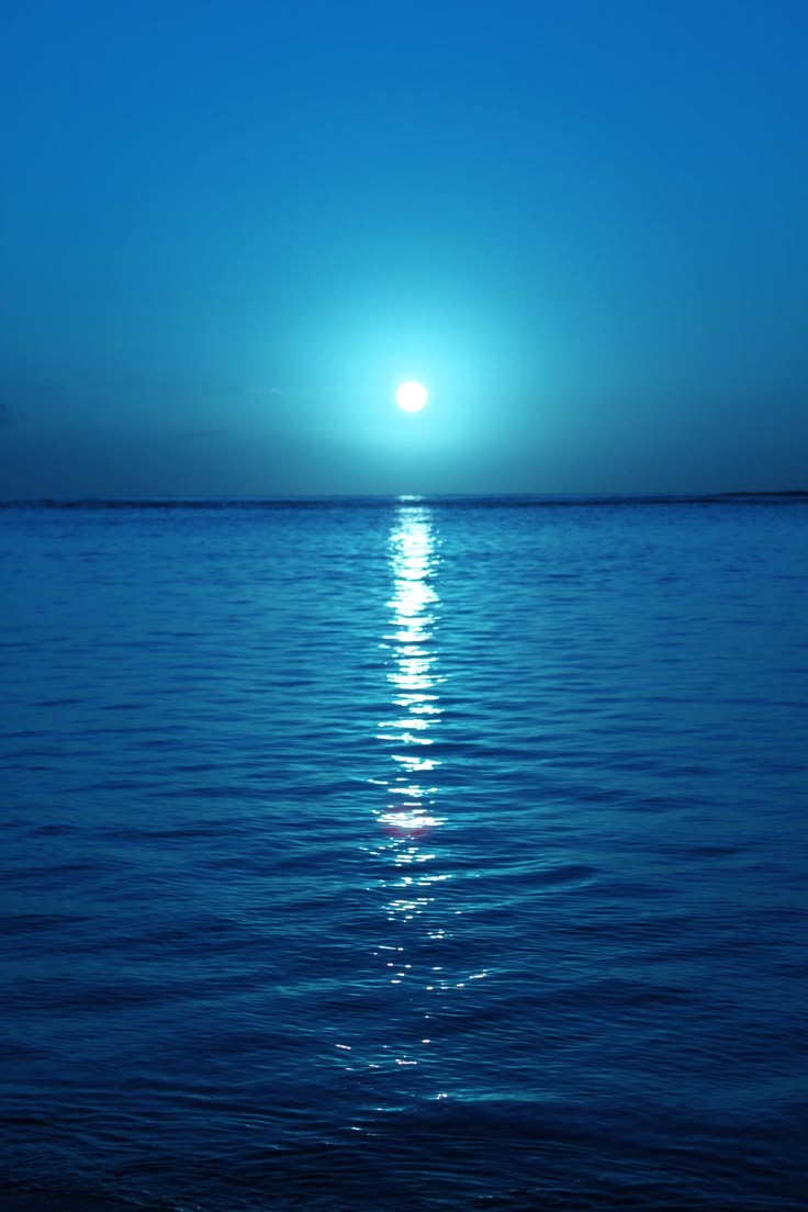 <p>Pacific</p>