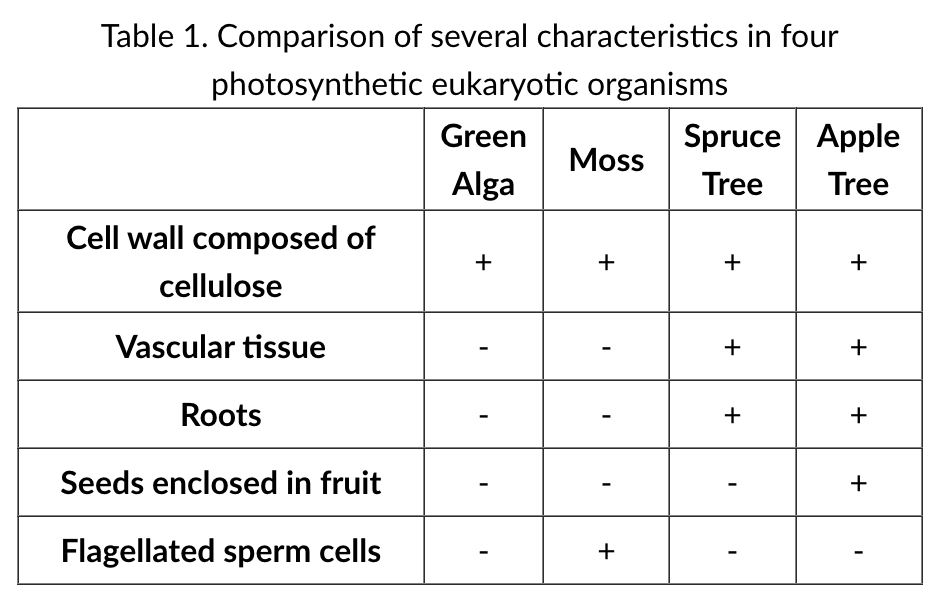 <p>Spirogyra (a green alga), a moss, a spruce tree, and an apple tree. Table 1 compares several characteristics in the organisms (+ indicates the trait is present, − indicates the trait is absent).<br><br>Which of the following rows of data listed in table 1 best supports the possibility of a common ancestor for the organisms listed there?</p>