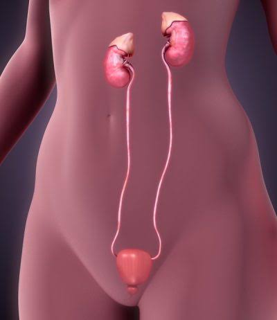 <p>Skinny tubes </p>