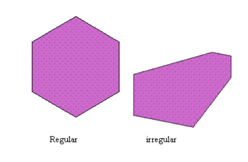 <p>2 dimensional shape - 1 face - 6 sides - 6 vertices</p>