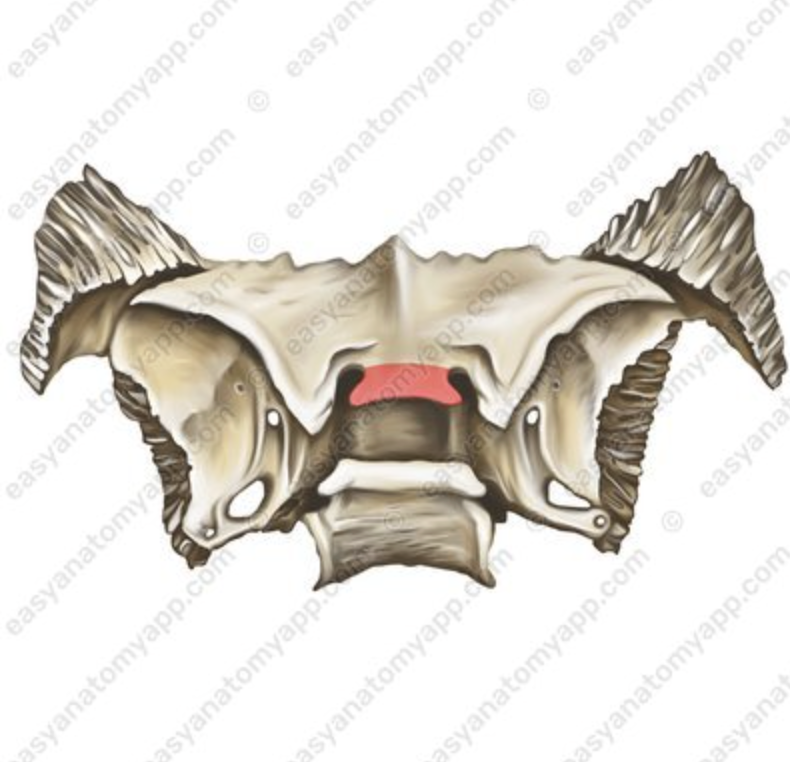 <p>What is this structure? &nbsp;</p>