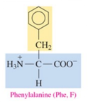 <p>nonpolar amino acid with aromatic as R group</p>