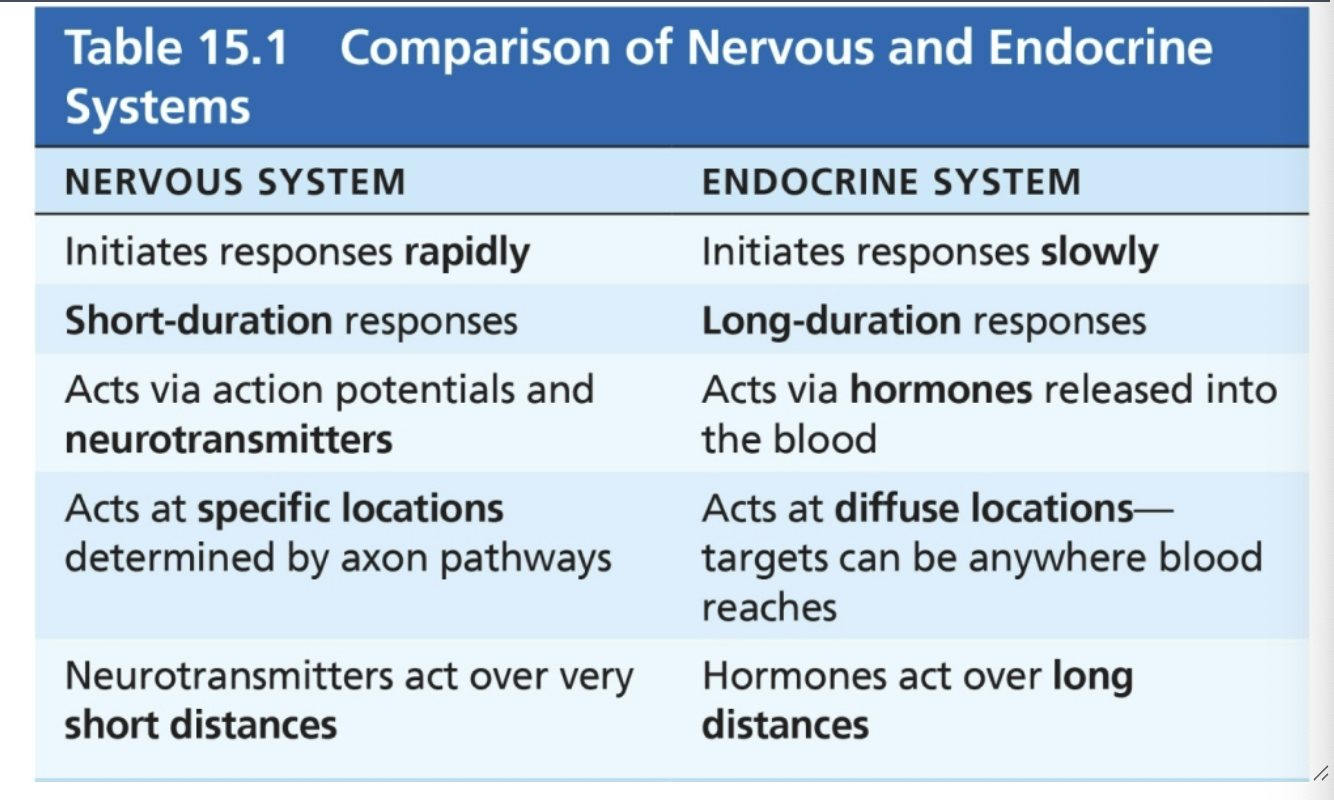 <p>** NER SYS USES ACTION POTENTIALS AND NEUROTRANSMITTERS</p><p>** ENDO SYS USES HOROMONES RELEASED INTO BLOOD!</p><p>**ner sys has axons releases neurotransmitters </p><p>**endocrine sys releases hormones in blood cuz blood present in every part of body, responses are more specific + far effect</p><p>** endocrine response slower but longer lasting than nervous system</p>
