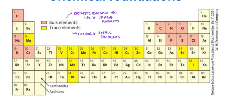 <p><strong><u>Chemical Foundations </u></strong></p><ul><li><p><span style="color: blue;"><strong><mark data-color="blue" style="background-color: blue; color: inherit;">Elements are essential for animal life and health </mark></strong></span></p><ul><li><p>less than 30 of the naturally occuring elements are essential to life </p></li><li><p>most at the lowest atomic weight </p></li><li><p><strong><mark data-color="yellow" style="background-color: yellow; color: inherit;">hydrogen, oxygen, nitrogen, and carbon are ____ of an organism </mark></strong></p></li></ul></li></ul><p><strong><mark data-color="red" style="background-color: red; color: inherit;">Bulk </mark></strong><mark data-color="red" style="background-color: red; color: inherit;">- essential in large amounts</mark></p><p><strong><mark data-color="red" style="background-color: red; color: inherit;">Trace</mark></strong><mark data-color="red" style="background-color: red; color: inherit;"> - essential in small amounts </mark></p>