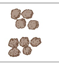 <p>Identify the structure</p>