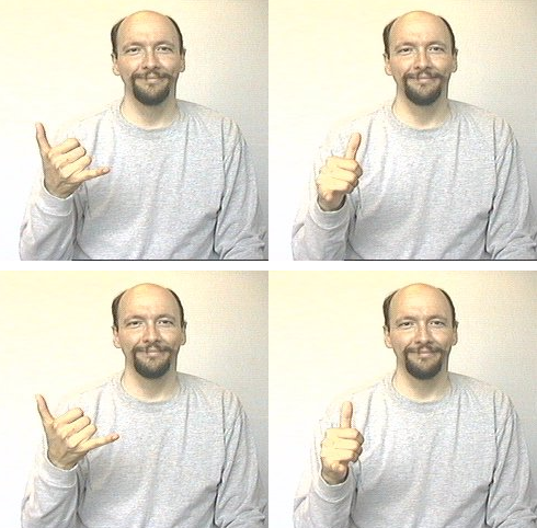 <p>dom hand makes “y” hold upright shake out and in</p>