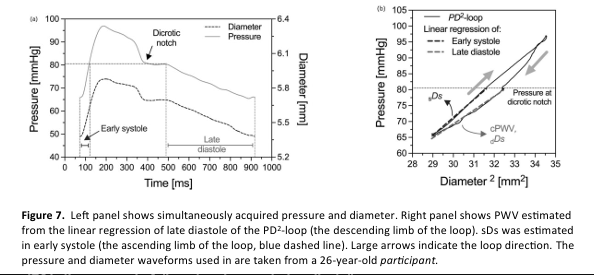<p>diameter-pressure loop (D2P-loop) equation</p>