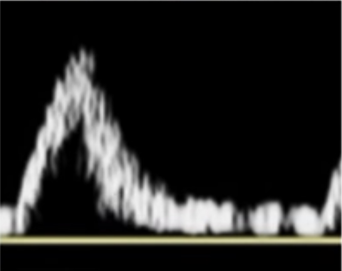 <p>This waveform is considered:</p>