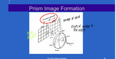 <p>Asymmetric magnification will increase towards the (base/apex) of a prism</p>
