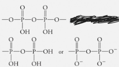 <p>What Functional Group is this?</p>