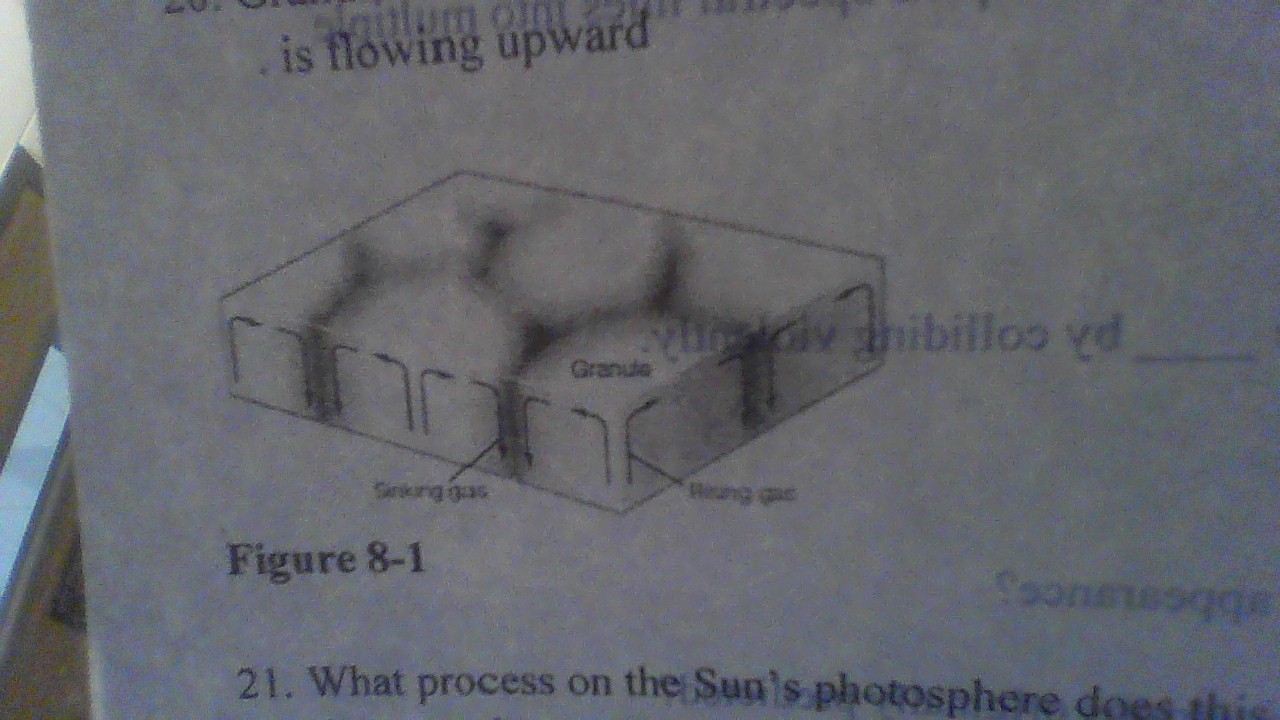 <p>What process on the Sun’s photosphere does this figure (Figure 8-1) represent?</p>