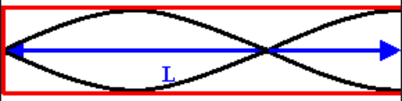 <p>Note: Each image shows one ‘L’</p>